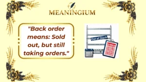 back order meaning