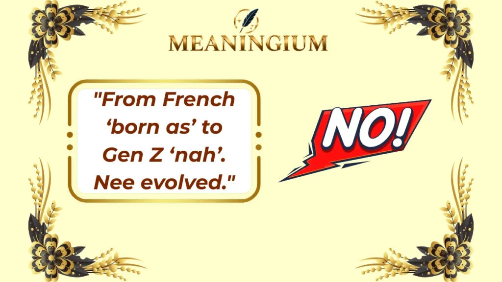 nee meaning