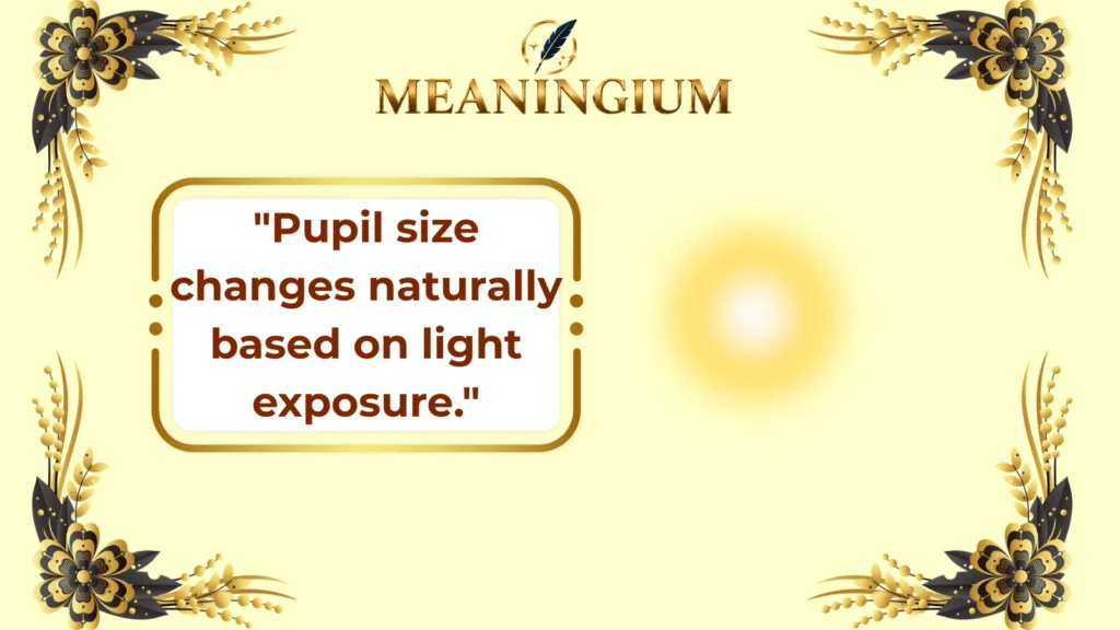 small pupils meaning