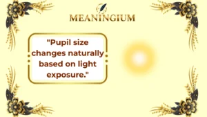 small pupils meaning