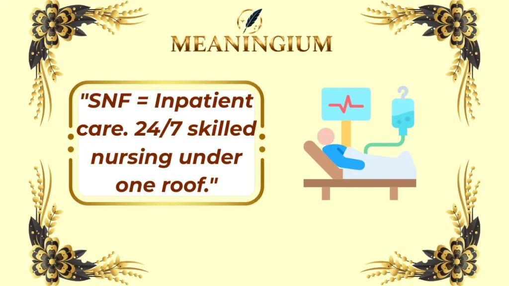snf meaning